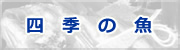 四季折々の旬の魚をご紹介